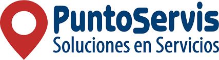 puntoservis
